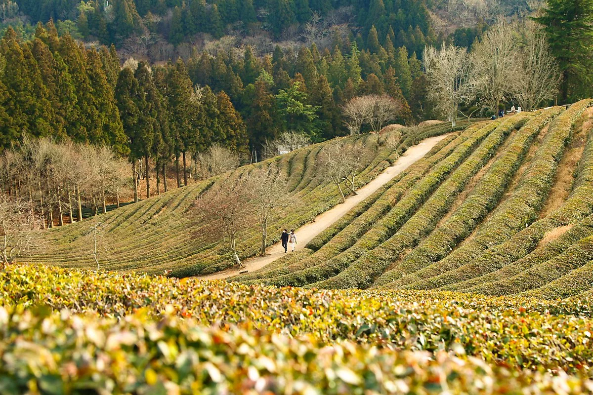 %EB%A9%94%EC%9D%B8_%EB%8C%80%ED%95%9C%EB%8B%A4%EC%9B%90_%287%29.jpg?type=w1200