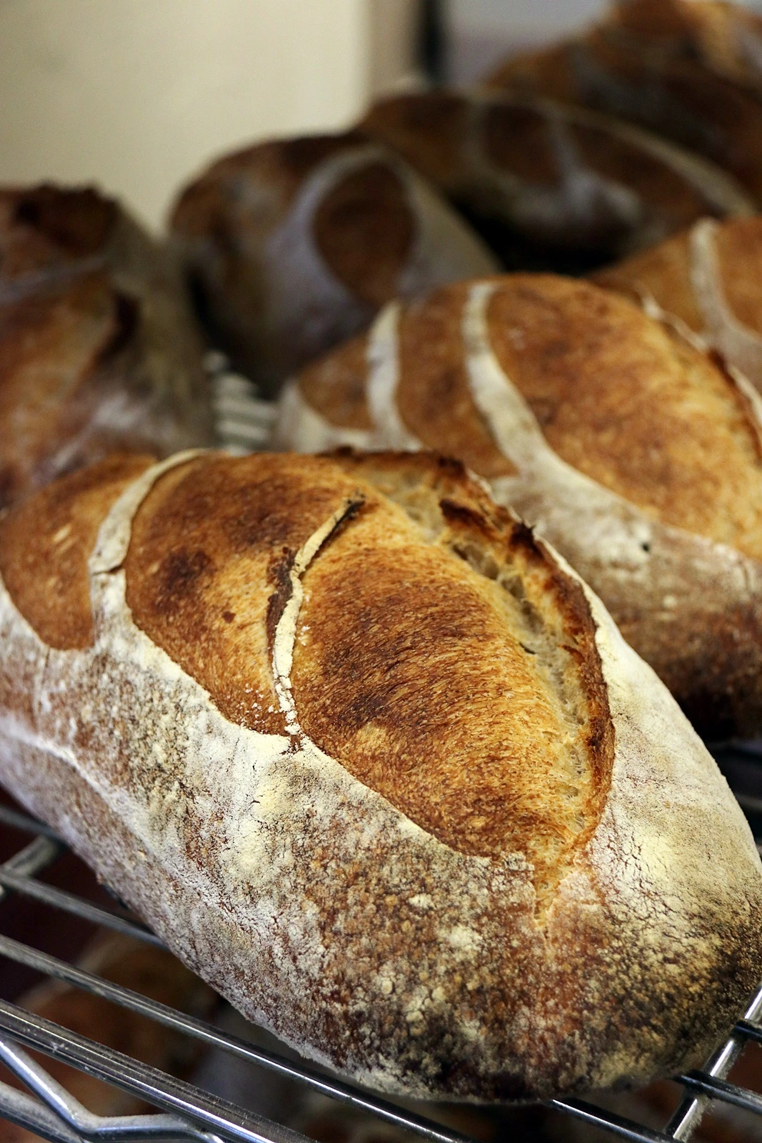32-Cobourg-Millstone Bread-French Sourdough.JPG