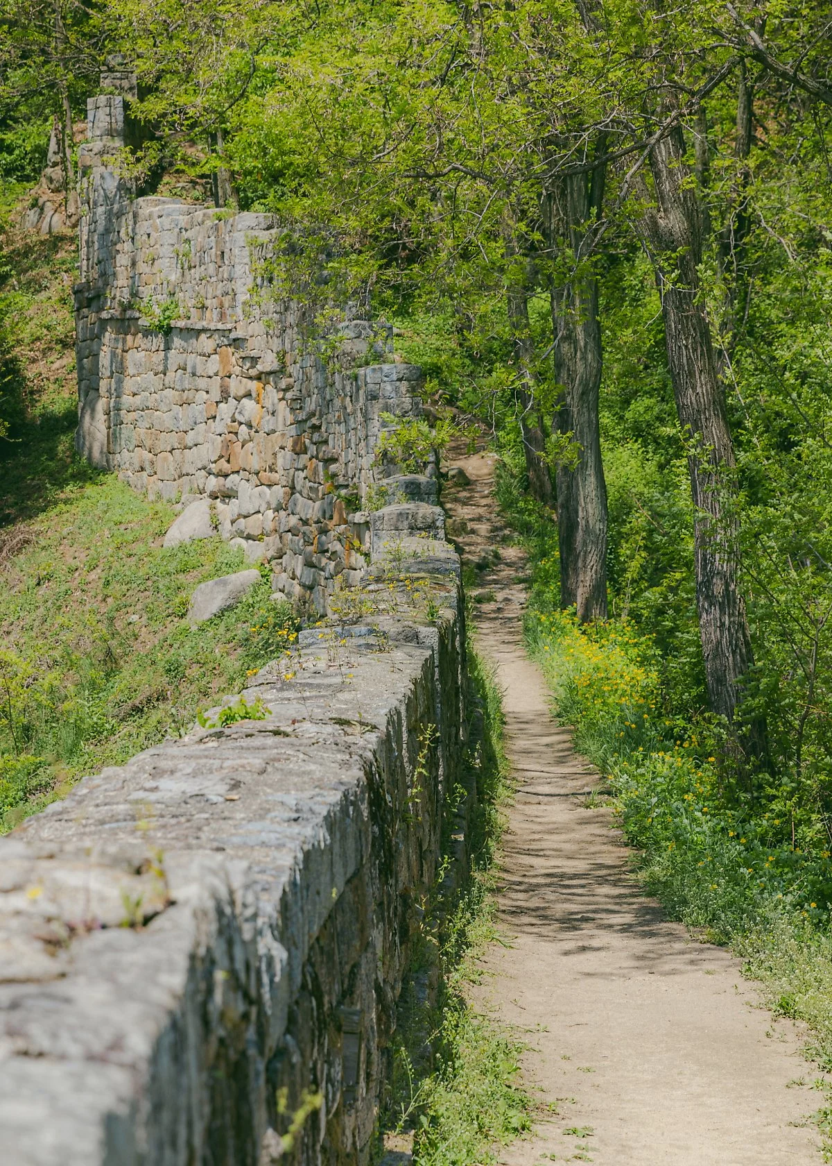 _86A6481.jpg?type=w1200