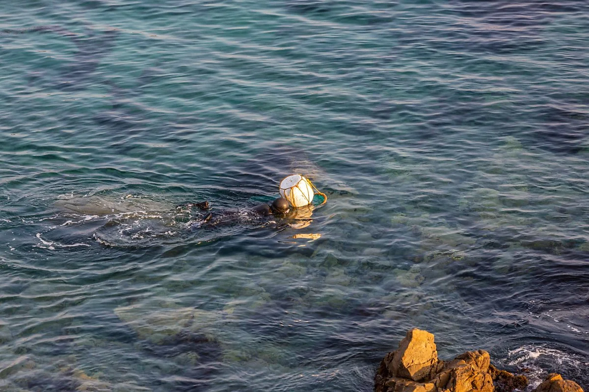 %ED%95%98%ED%8A%B8%ED%95%B4%EB%B3%80__%EC%84%B8%ED%8A%B8%EC%9E%A5_%285%29.jpg?type=w1200