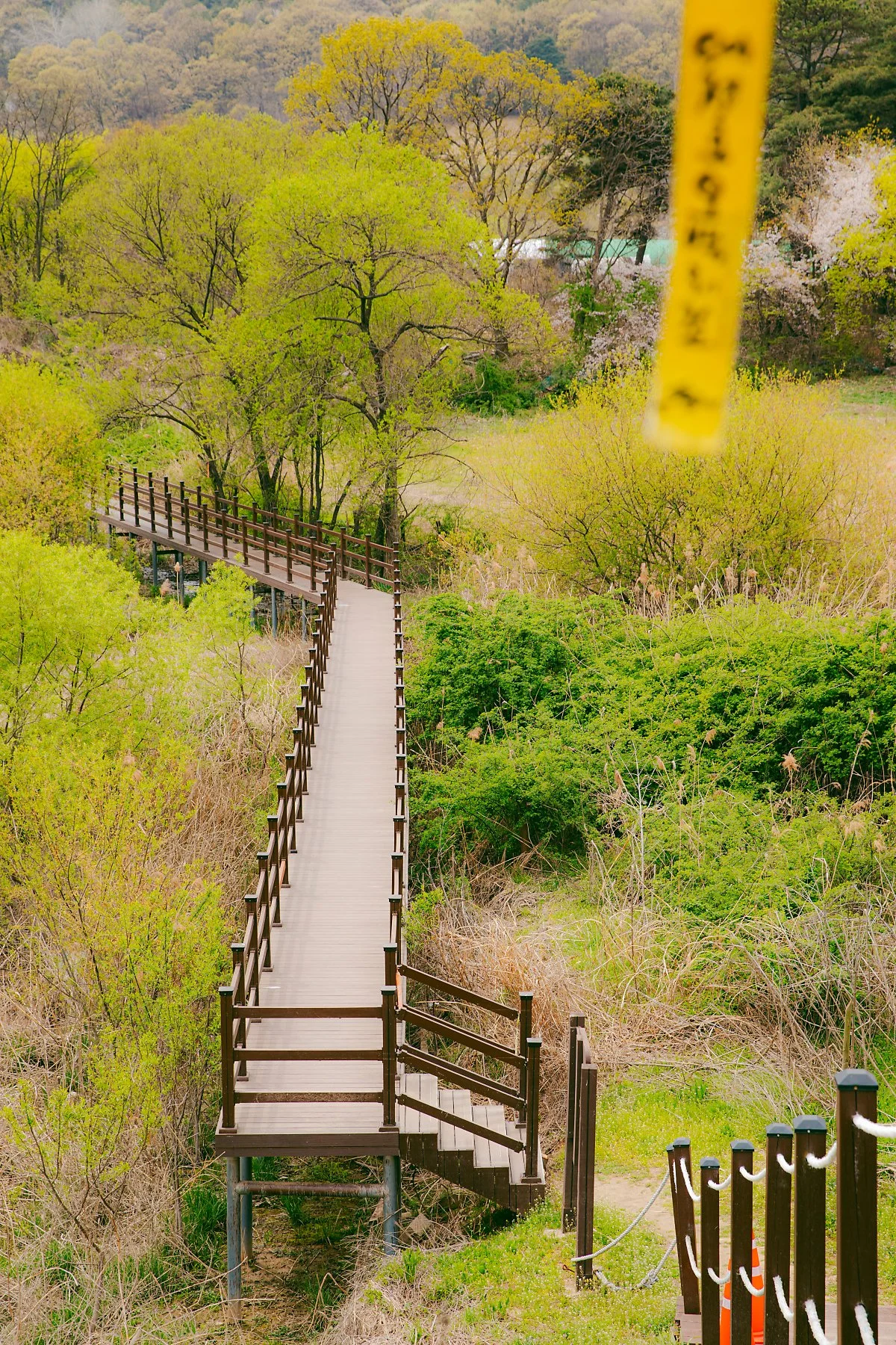 %EF%80%88d_%EB%8C%80%EC%B2%AD%ED%98%B8%EC%98%A4%EB%B0%B1%EB%A6%AC%EA%B8%B84%EA%B5%AC%EA%B0%84%28%ED%98%B8%EB%B0%98%EB%82%AD%EB%A7%8C%EA%B8%B8%29_1.jpg?type=w1200