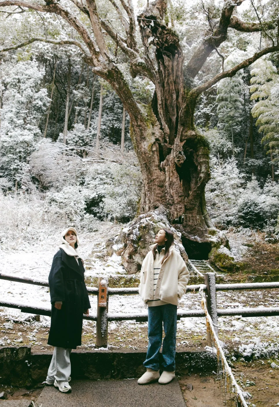 %EB%8B%A4%EC%BC%80%EC%98%A4_%EB%85%B9%EB%82%98%EB%AC%B4(1).jpg?type=w966