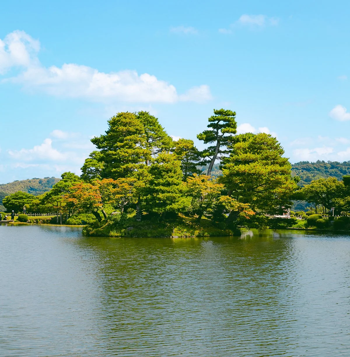 image_6069862891730081519859.jpg?type=w1200