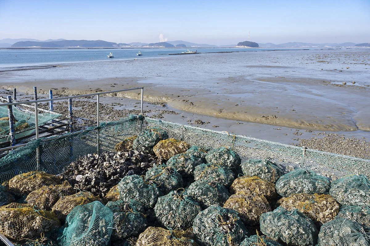 %EC%9B%85%EB%8F%84_%EA%B5%B4%EC%96%91%EC%8B%9D_%281%29.jpg?type=w1200