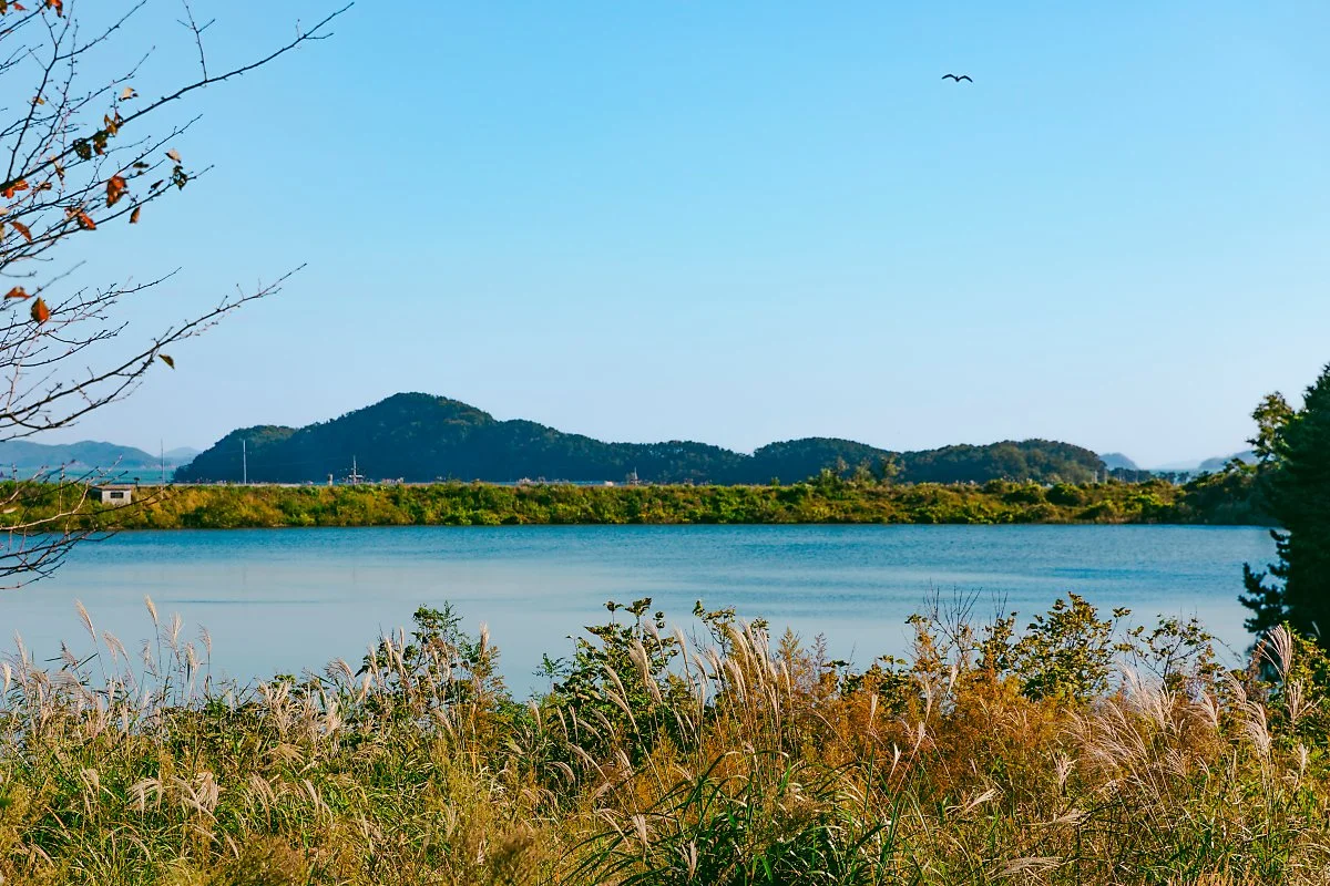 %EC%A3%BC%EB%AC%B8%EC%A0%80%EC%88%98%EC%A7%80%282%29.jpg?type=w1200