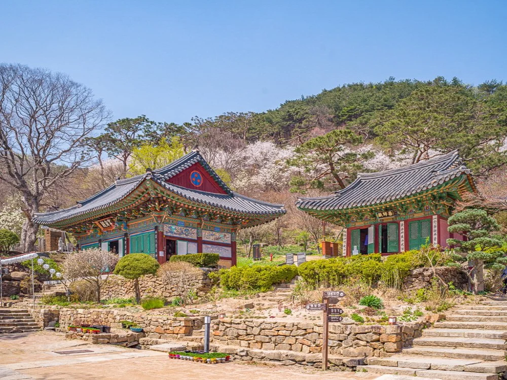 %EC%A0%84%EB%93%B1%EC%82%AC_%EC%82%AC%EC%A7%84_%EA%B5%90%EC%B2%B4_-4.jpg?type=w1200