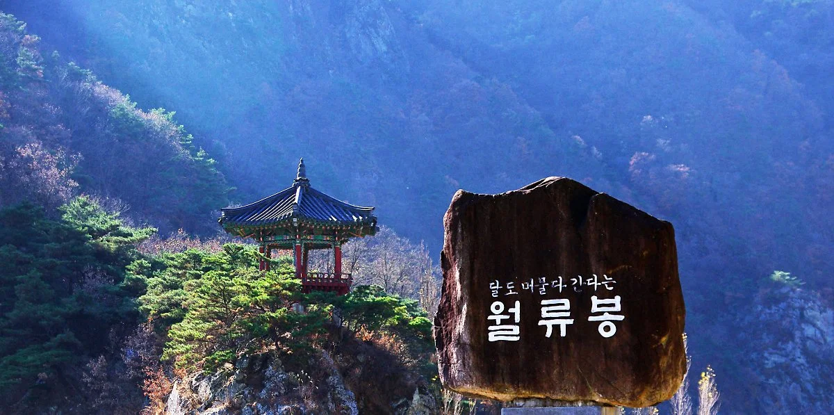 %EC%9B%94%EB%A5%98%EB%B4%89_%EB%B9%84%EC%84%9D_%EB%92%A4%EB%A1%9C_%EC%A0%95%EC%9E%90%EA%B0%80_%EB%B3%B4%EC%9D%B8%EB%8B%A4..JPG?type=w1200