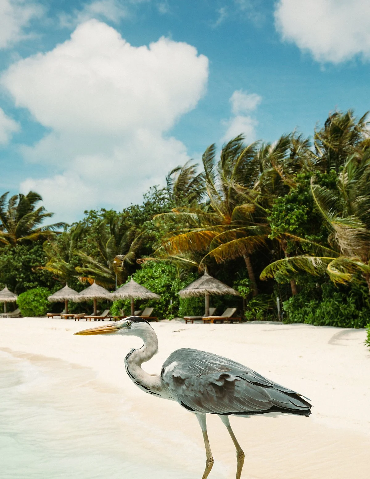 5p_%281%29.jpg?type=w1200