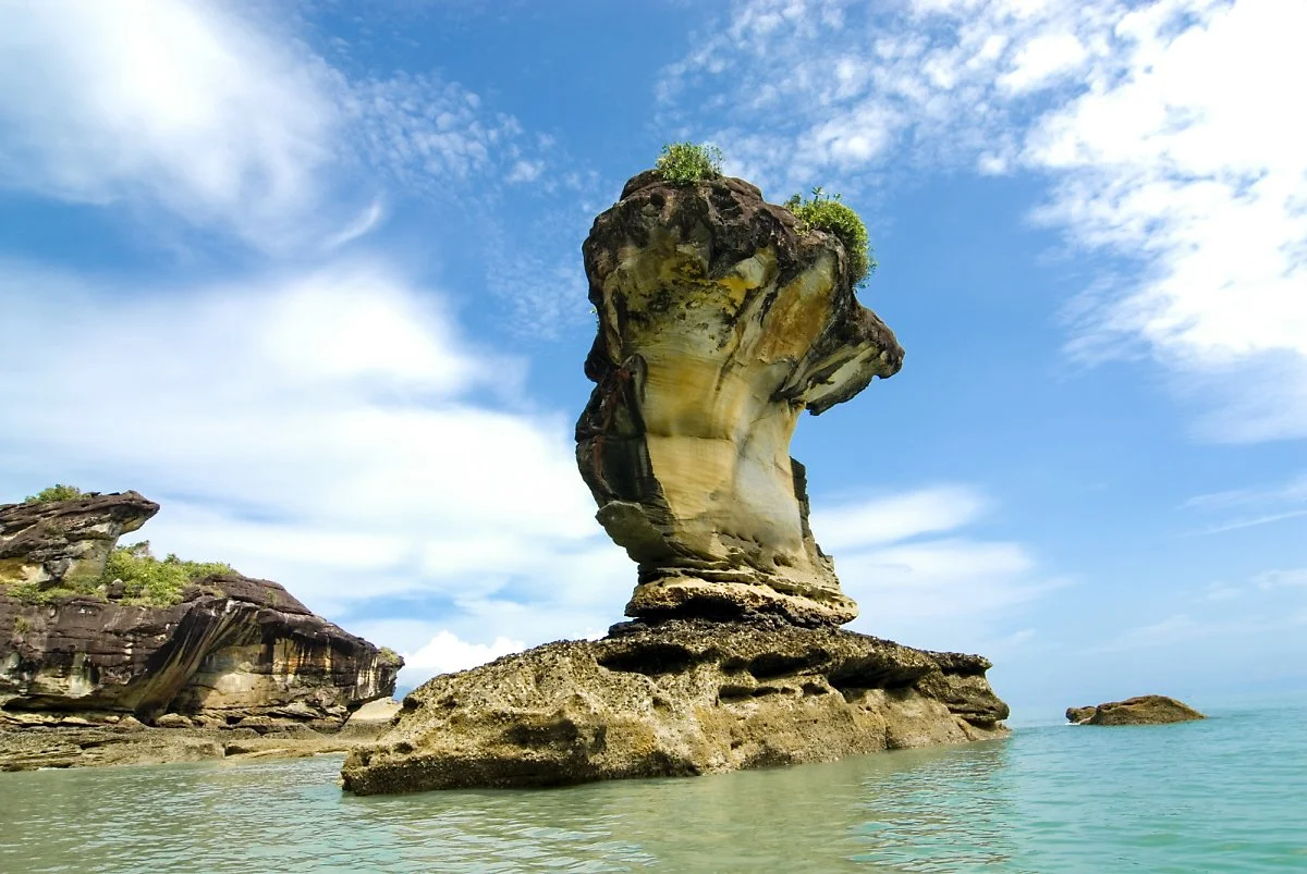 %EB%B0%94%EC%BD%94_%EA%B5%AD%EB%A6%BD%EA%B3%B5%EC%9B%90_%E2%93%92%EB%A7%90%EB%A0%88%EC%9D%B4%EC%8B%9C%EC%95%84_%EC%82%AC%EB%9D%BC%EC%99%81_%EA%B4%80%EA%B4%91%EC%B2%AD.jpg?type=w1200