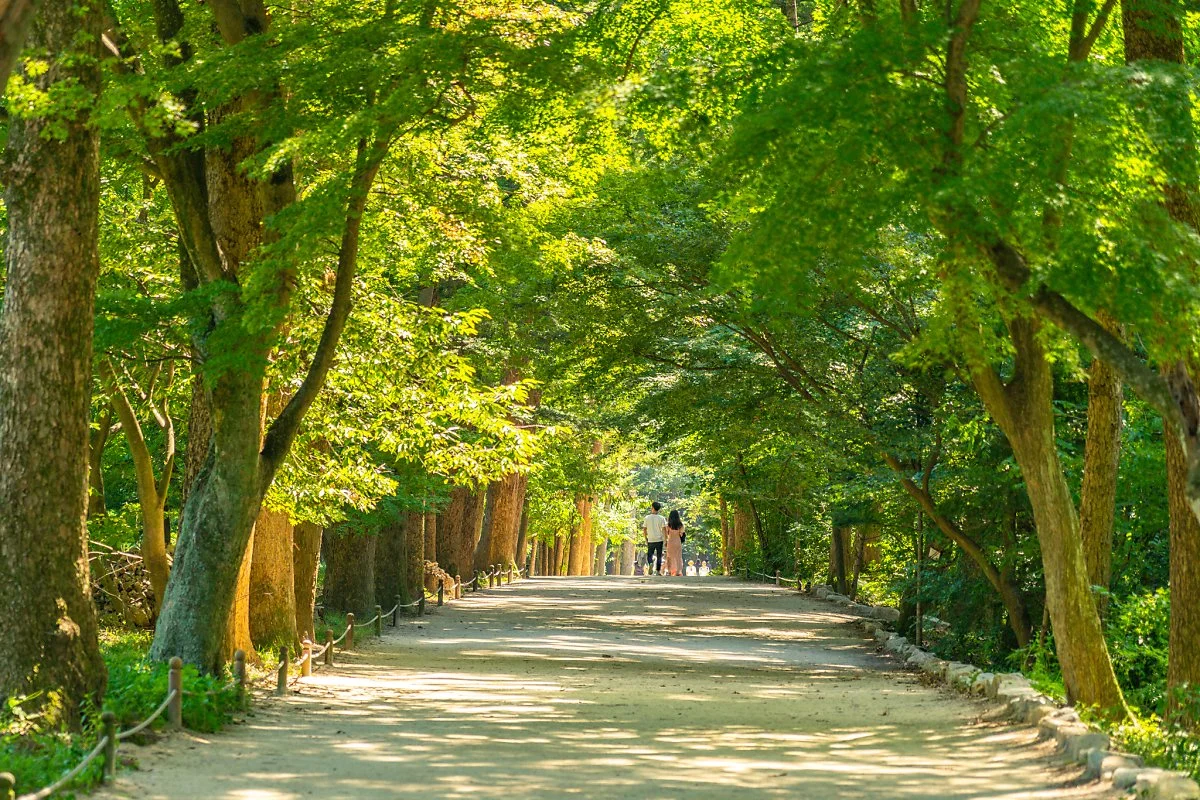 %EB%B6%80%EC%95%88_005.jpg?type=w1200