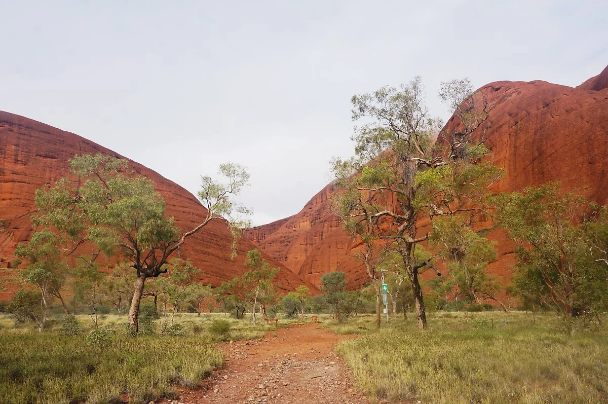 %EC%B9%B4%ED%83%80%EC%B6%94%ED%83%803_%28%EB%B0%94%EB%9E%8C%EC%9D%98_%EA%B3%84%EA%B3%A1_3%29.jpg?type=w1200