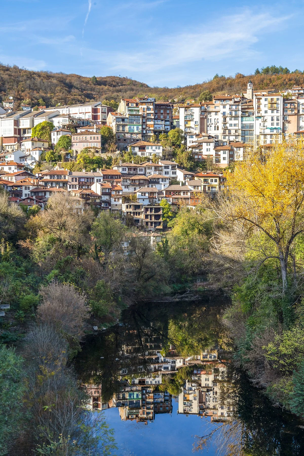 %EB%B6%88%EA%B0%80%EB%A6%AC%EC%95%84.jpg?type=w1200