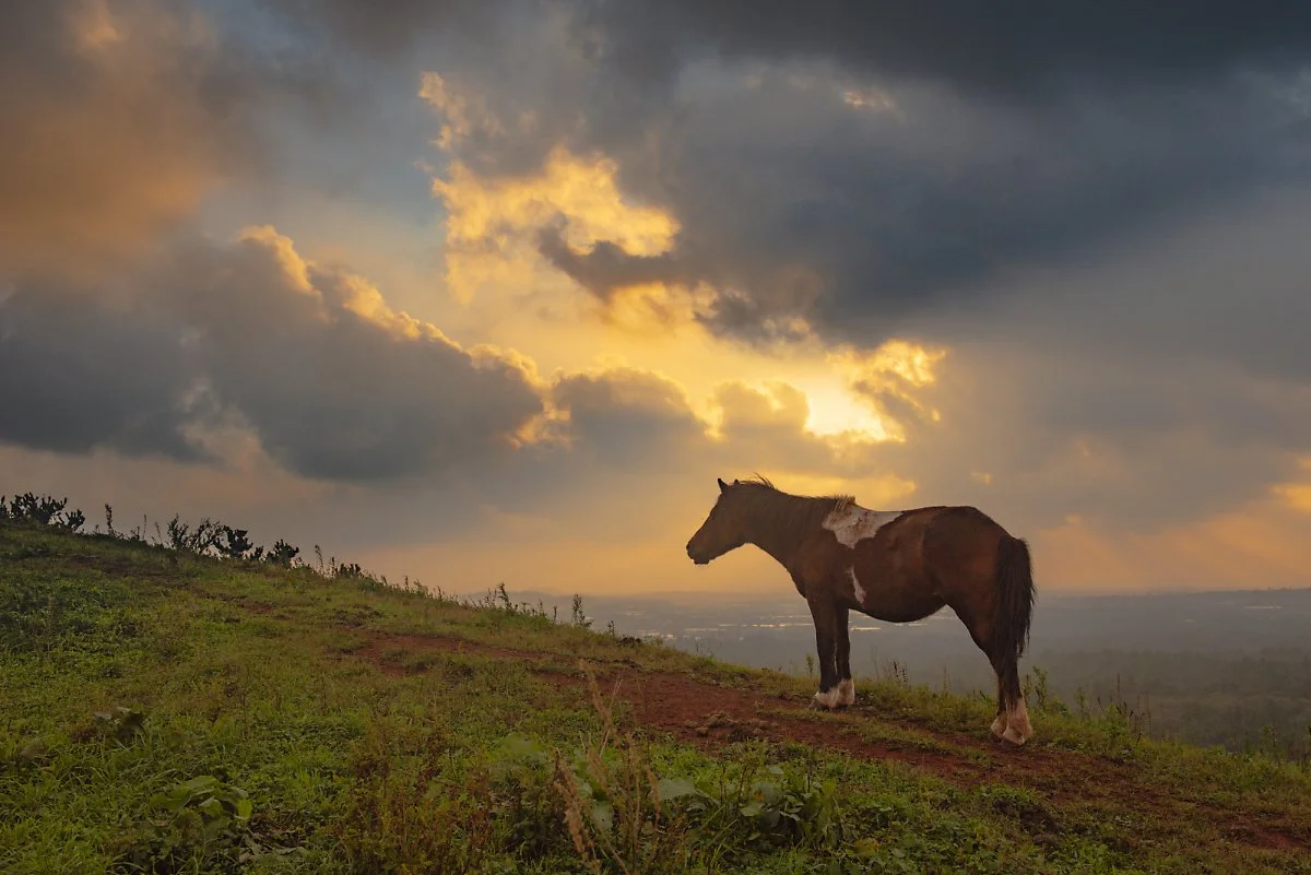 %ED%81%AC%EA%B8%B0%EB%B3%80%ED%99%98%EB%AC%B8%EB%8F%84%EC%A7%80%EC%98%A4%EB%A6%84_%283%29.jpg?type=w1200