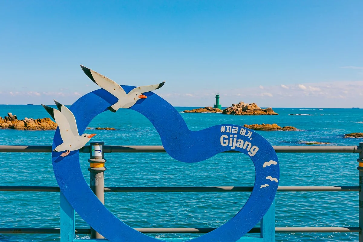 d_%ED%99%A9%ED%95%99%EB%8C%80_2.jpg?type=w1200