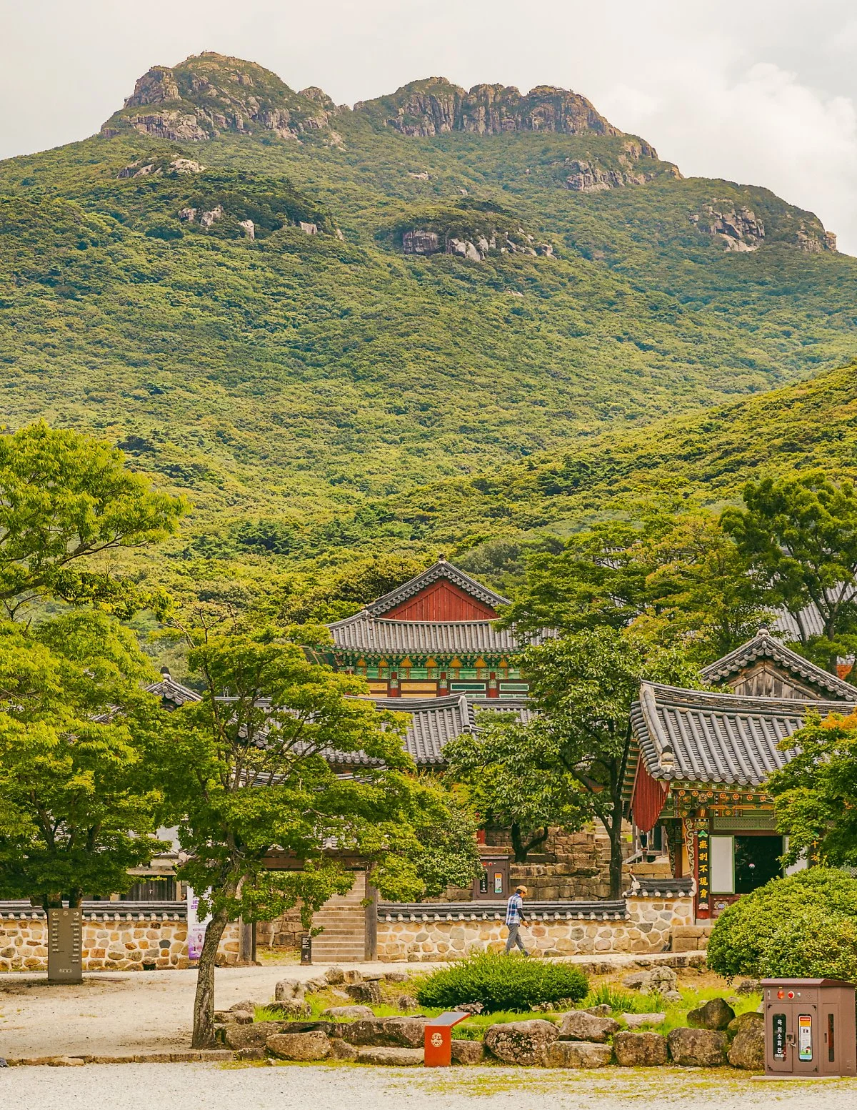 %EB%8C%80%ED%9D%A5%EC%82%AC%281%29.jpg?type=w1200