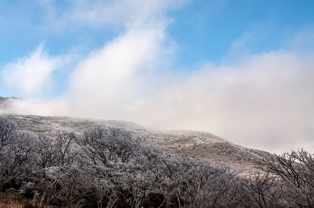 %EC%82%AC%EB%9D%BC%EC%98%A4%EB%A6%84_003.jpg?type=w1200