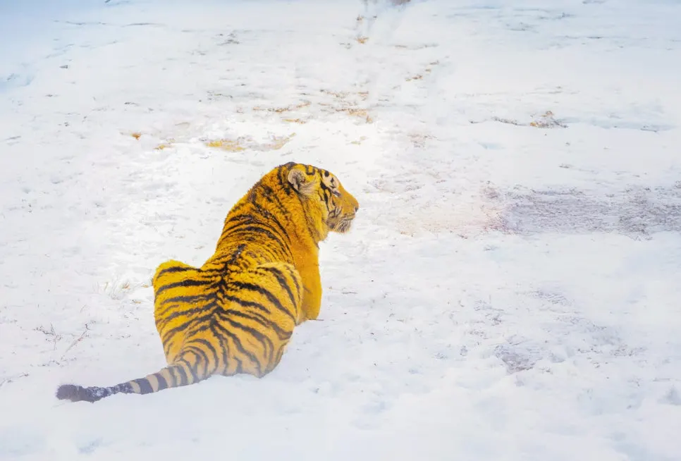 %EB%8F%99%EB%B6%81%ED%98%B8%EB%A6%BC%EC%9B%90_(3).jpg?type=w966