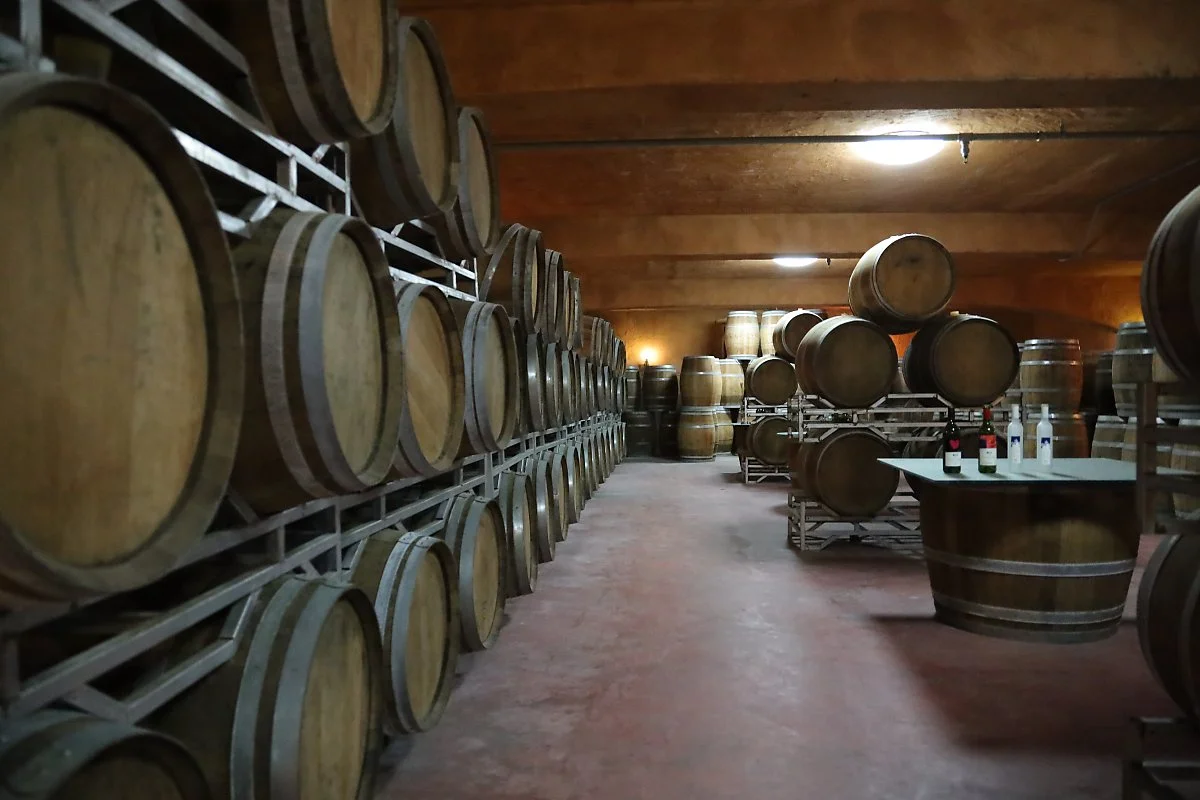 3._%EC%99%80%EC%9D%B8%EC%BD%94%EB%A6%AC%EC%95%84_%283%29.jpg?type=w1200