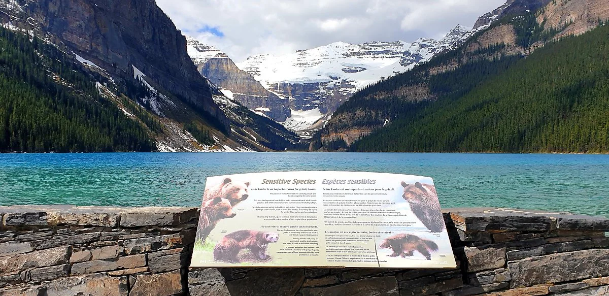 %EB%B0%B4%ED%94%84_%EB%A0%88%EC%9D%B4%ED%81%AC_%EB%A3%A8%EC%9D%B4%EC%8A%A4_4.jpg?type=w1200