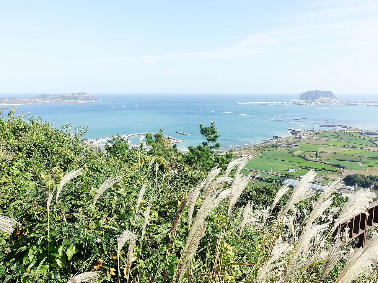 지미오름 (28).JPG