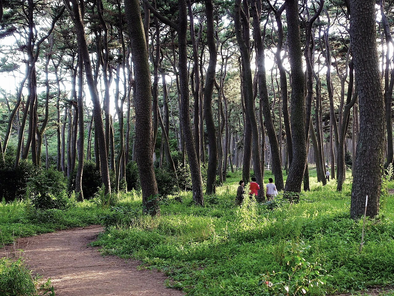 울산_대왕암공원 (3).JPG