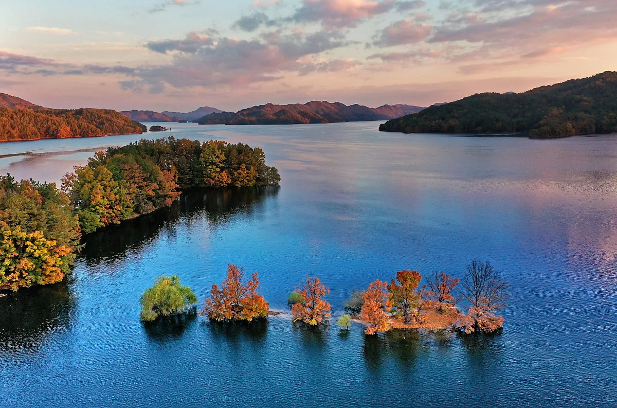 %EC%A0%9C2%EA%B2%BD_%EB%8C%80%EC%B2%AD%ED%98%B8%EB%B0%98.JPG?type=w1200