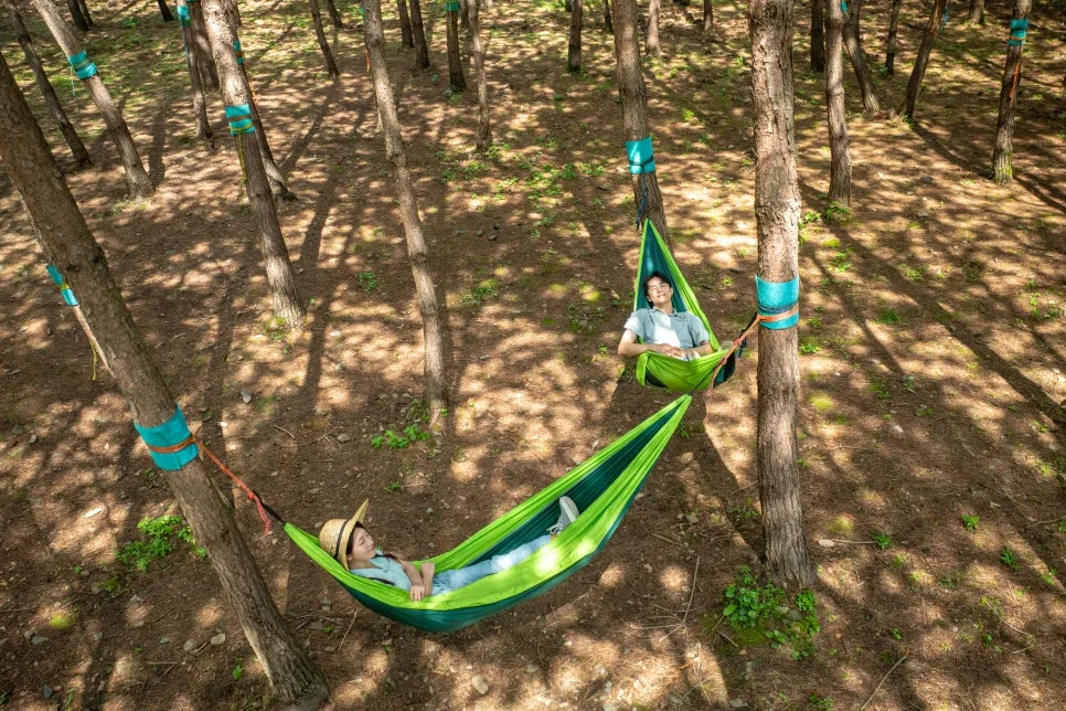 DJI_0005.jpg?type=w966