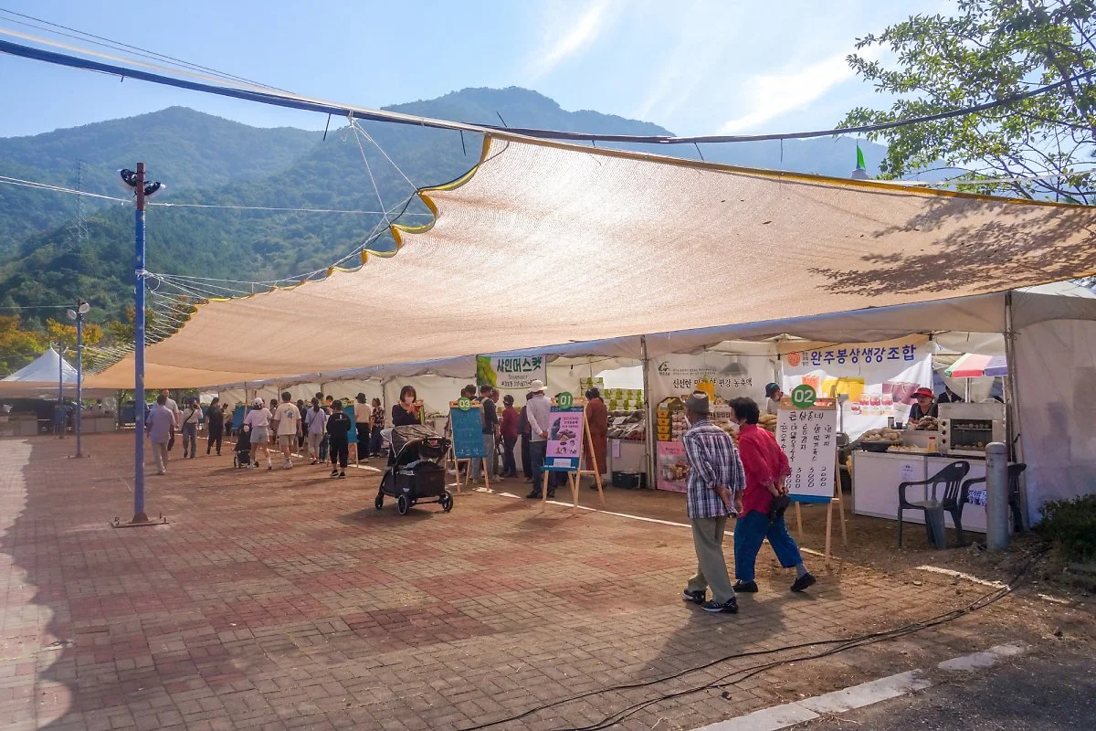 %EC%99%80%EC%9D%BC%EB%93%9C%EC%95%A4%EB%A1%9C%EC%BB%AC%ED%91%B8%EB%93%9C%EC%B6%95%EC%A0%9C5.jpg?type=w1200