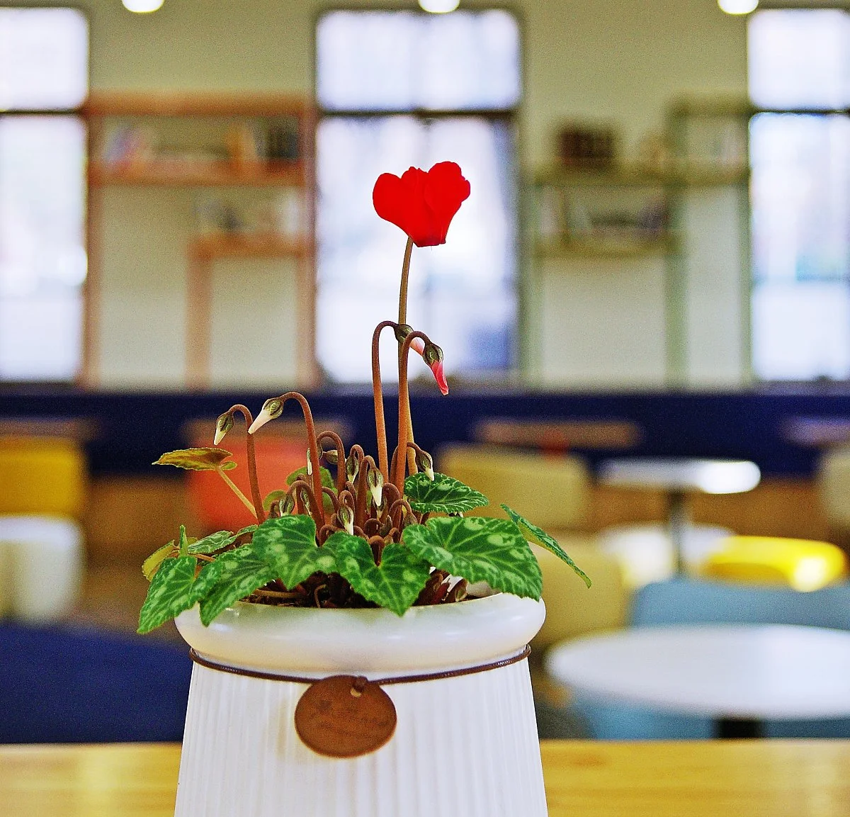 image_8816840081702624669598.jpg?type=w1200