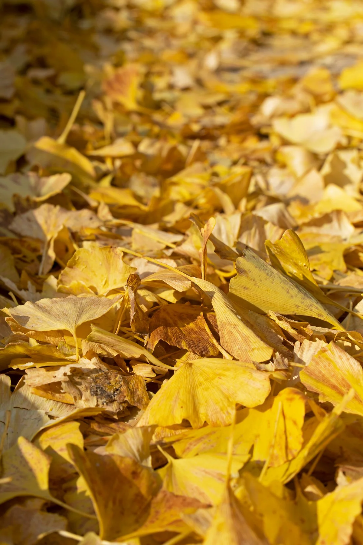 %EC%82%AC%EC%A7%843_%EB%AC%B8%EA%B2%BD%EC%83%88%EC%9E%AC_%EB%8B%A8%ED%92%8D.jpg?type=w1200