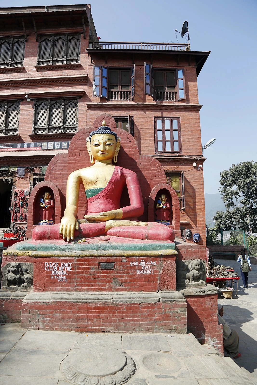 스와얌부나트 (1).JPG