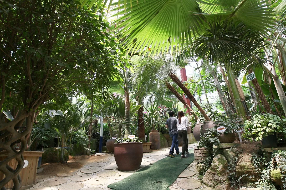 11._%ED%97%88%EB%B8%8C%EC%95%84%EC%9D%BC%EB%9E%9C%EB%93%9C.jpg?type=w1200