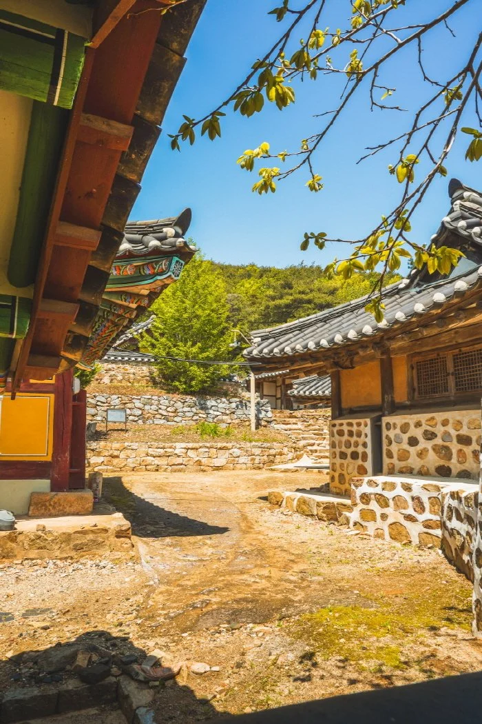 %EA%B5%90%EB%8F%99%ED%96%A5%EA%B5%90_%284%29.jpg?type=w1200