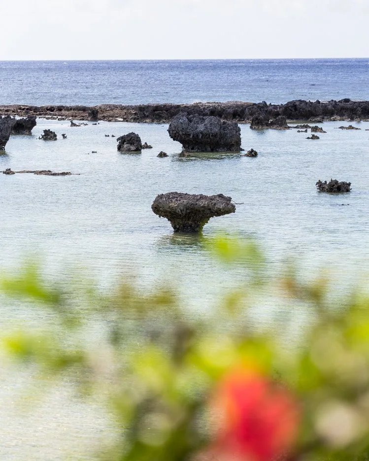 %EC%82%AC%EC%9D%B4%ED%8C%90_Rota_7.jpg?type=w1200