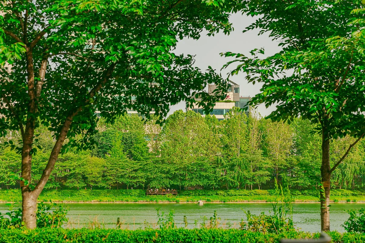 d_%EC%84%9D%EC%B4%8C%ED%98%B8%EC%88%98_1.jpg?type=w1200