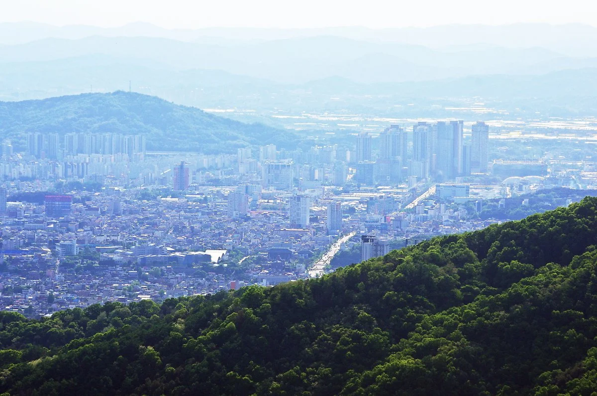 %EA%B2%83%EB%8C%80%EC%82%B0_%EC%A0%95%EC%83%81%EC%97%90%EC%84%9C_%EB%B3%B8_%ED%92%8D%EA%B2%BD._%ED%91%B8%EB%A5%B8_%EC%88%B2_%EB%92%A4%EB%A1%9C_%EC%A7%81%EC%A7%80%EB%8C%80%EB%A1%9C%EA%B0%80_%EB%B3%B4%EC%9D%B8%EB%8B%A4._%EC%82%AC%EC%A7%84_%EC%99%BC.JPG?type=w1200