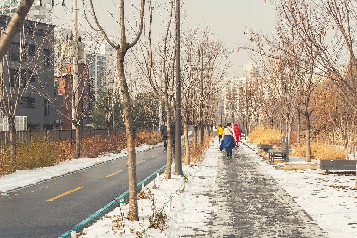 %EA%B2%BD%EC%B6%98%EC%84%A0%EC%88%B2%EA%B8%B8_%EC%82%B0%EC%B1%85%EB%A1%9C_00002.jpg?type=w1200