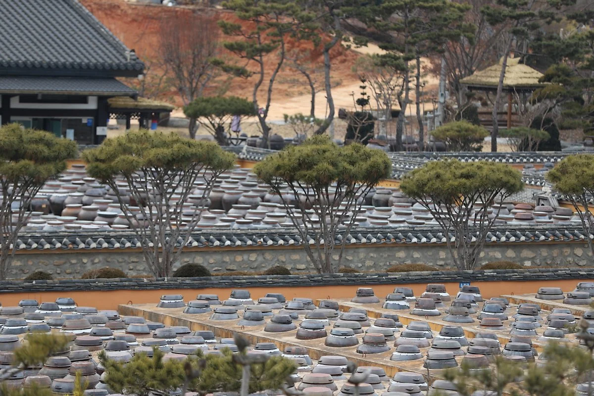 %EA%B3%A0%EC%8A%A4%EB%9D%BD6.JPG?type=w1200