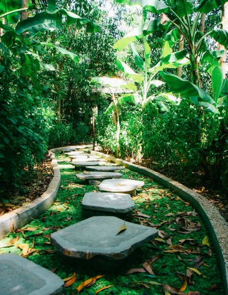 %EB%8B%8C%EB%B0%98-4.jpg?type=w466