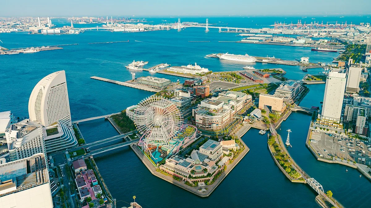 %EC%9A%94%EC%BD%94%ED%95%98%EB%A7%88_%EB%9E%9C%EB%93%9C%EB%A7%88%ED%81%AC_%ED%83%80%EC%9B%8C_1.jpg?type=w1200