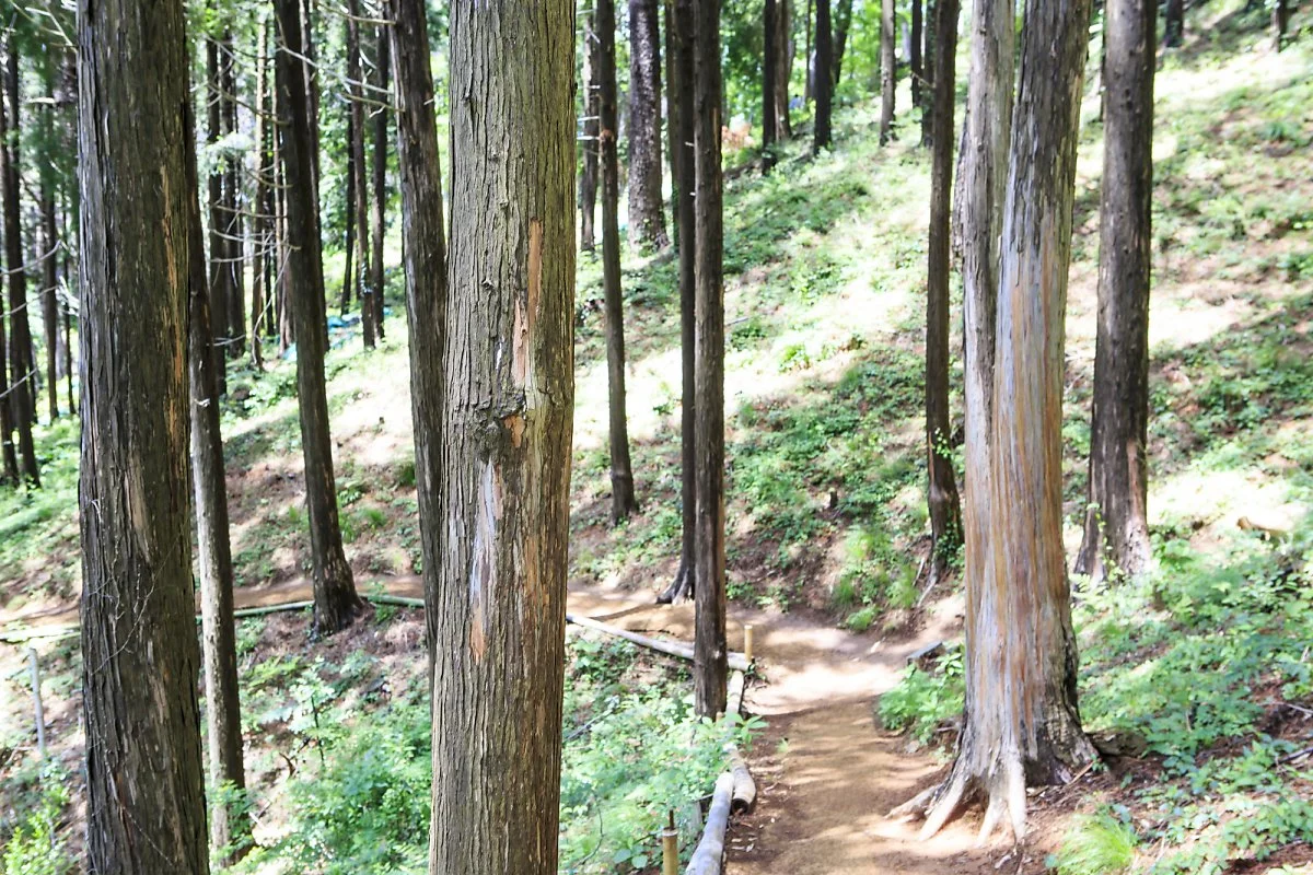 %EC%95%84%ED%99%89%EC%82%B0%EC%88%B2_%285%29.JPG?type=w1200