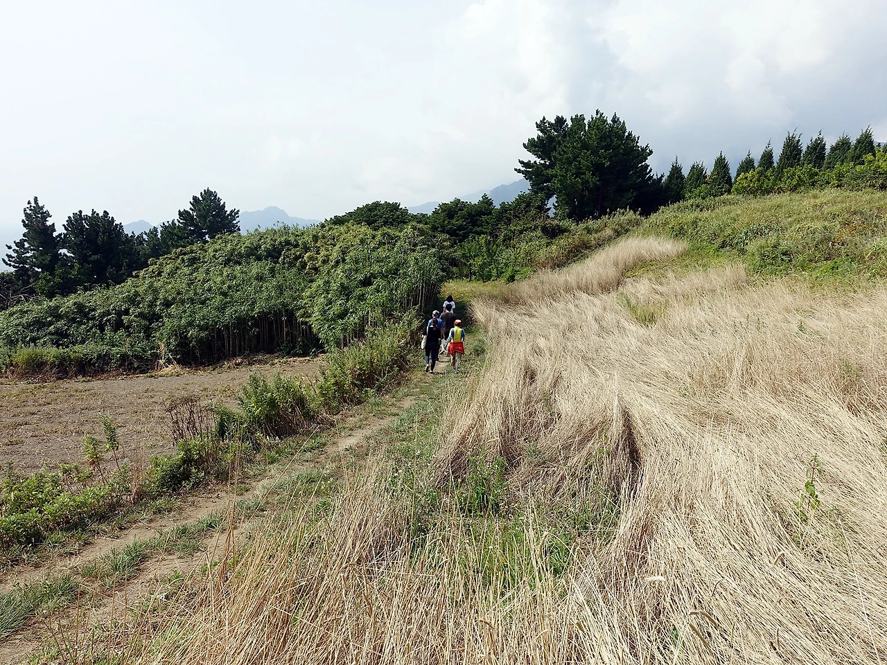 죽도풍경 (4).JPG