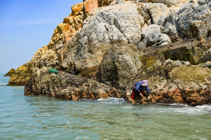 %ED%81%AC%EA%B8%B0%EB%B3%80%ED%99%98%EB%8C%80%EC%9E%A5%EB%8F%84_%EA%B0%AF%EB%B0%94%EC%9C%84%EC%97%90%EC%84%9C_%EC%9E%91%EC%97%85%EC%A4%91%EC%9D%B8_%EB%8C%80%EC%9E%A5%EB%8F%84_%EB%A7%88%EC%9D%84%EC%A3%BC%EB%AF%BC.JPG?type=w1200