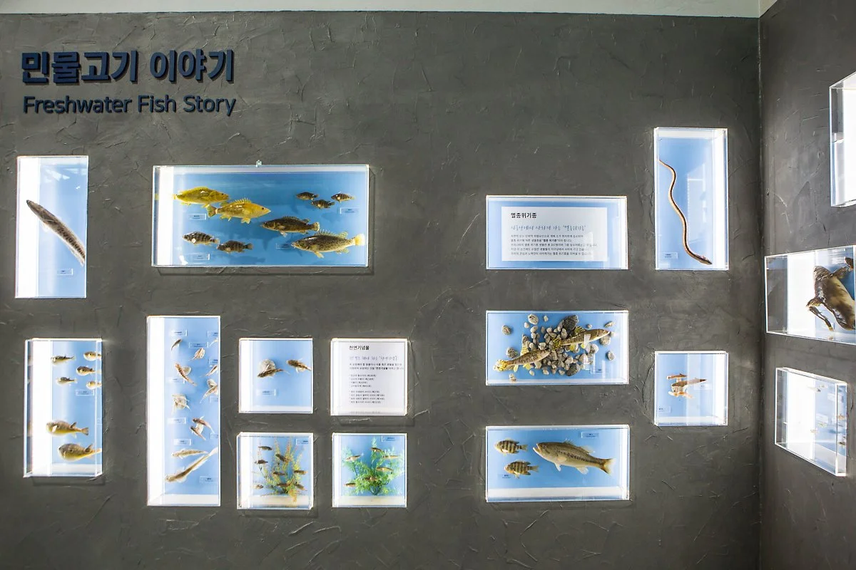 %EC%A0%9C%EC%A3%BC%ED%95%B4%EC%96%91%EB%8F%99%EB%AC%BC%EB%B0%95%EB%AC%BC%EA%B4%80_%285%29.JPG?type=w1200