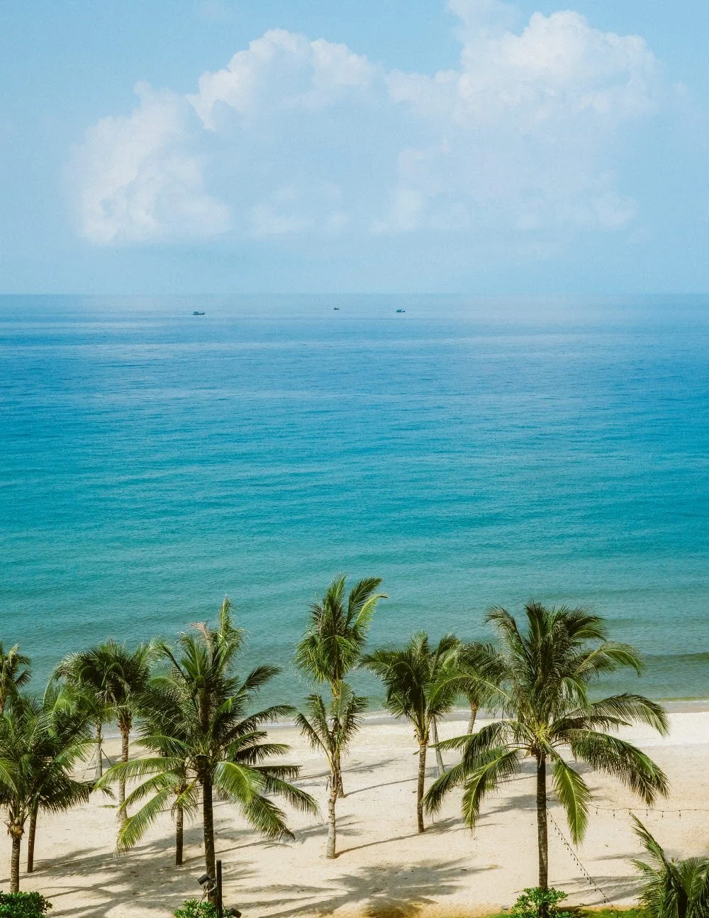 %EB%8F%84%EB%B9%84%EB%9D%BC.jpg?type=w1200