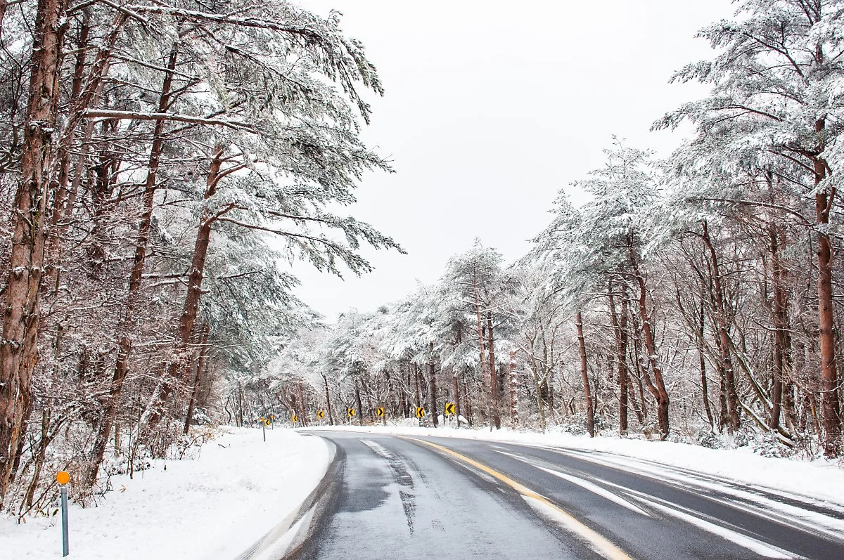 1100%EA%B3%A0%EC%A7%80%ED%9C%B4%EA%B2%8C%EC%86%8C_003.jpg?type=w1200