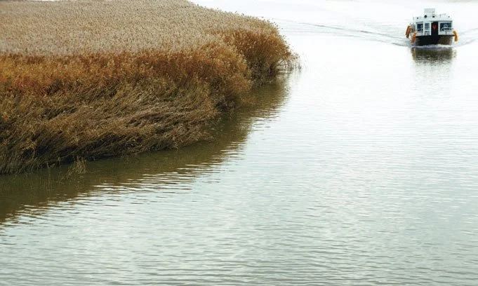 %EB%AC%B4%EB%B9%841.jpg?type=w1200