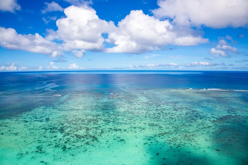 F96A8197.jpg?type=w1200