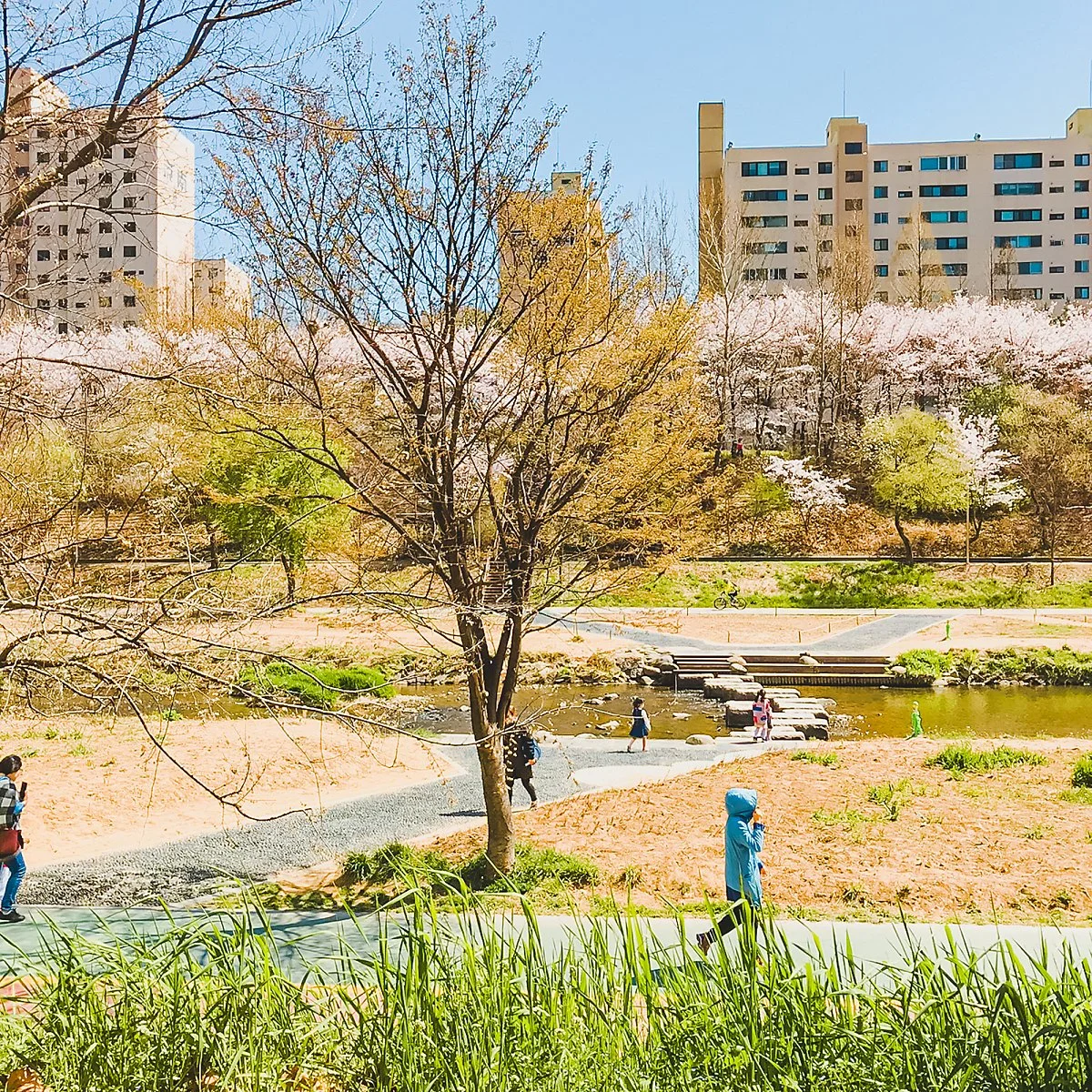 %EC%96%91%EC%9E%AC%EC%B2%9C_%2814%29.jpg?type=w1200