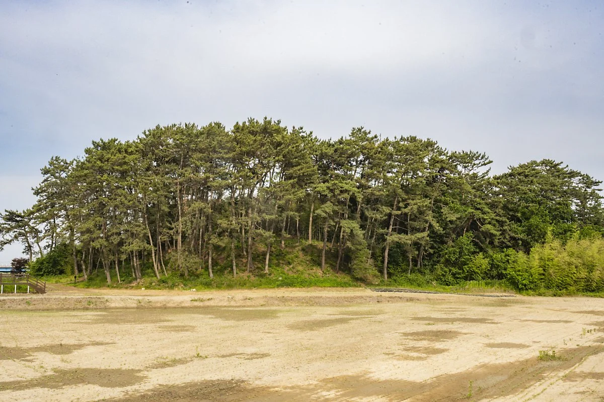 %EC%82%B0%ED%84%B8%EB%AF%B8%EC%82%B0.jpg?type=w1200